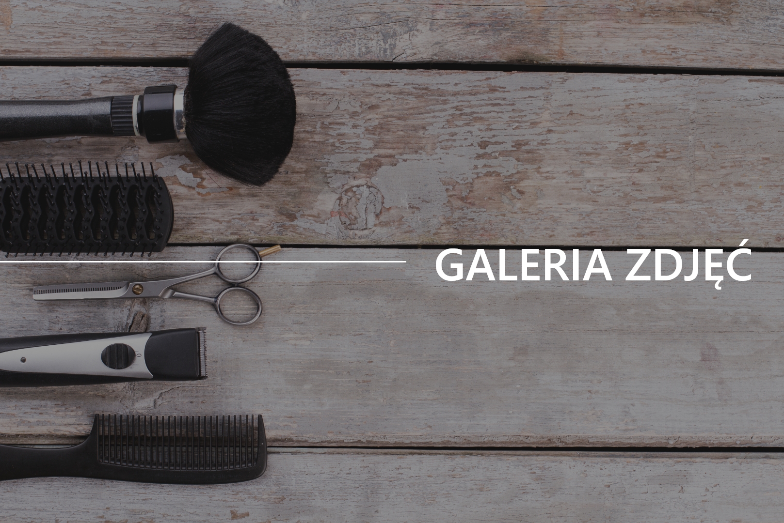 Galeria zdjęć